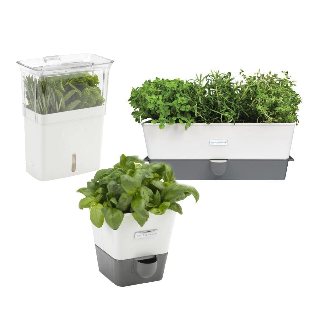 Cole & Mason Fresh Herb Keepers Herb Storage Cole & Mason UK