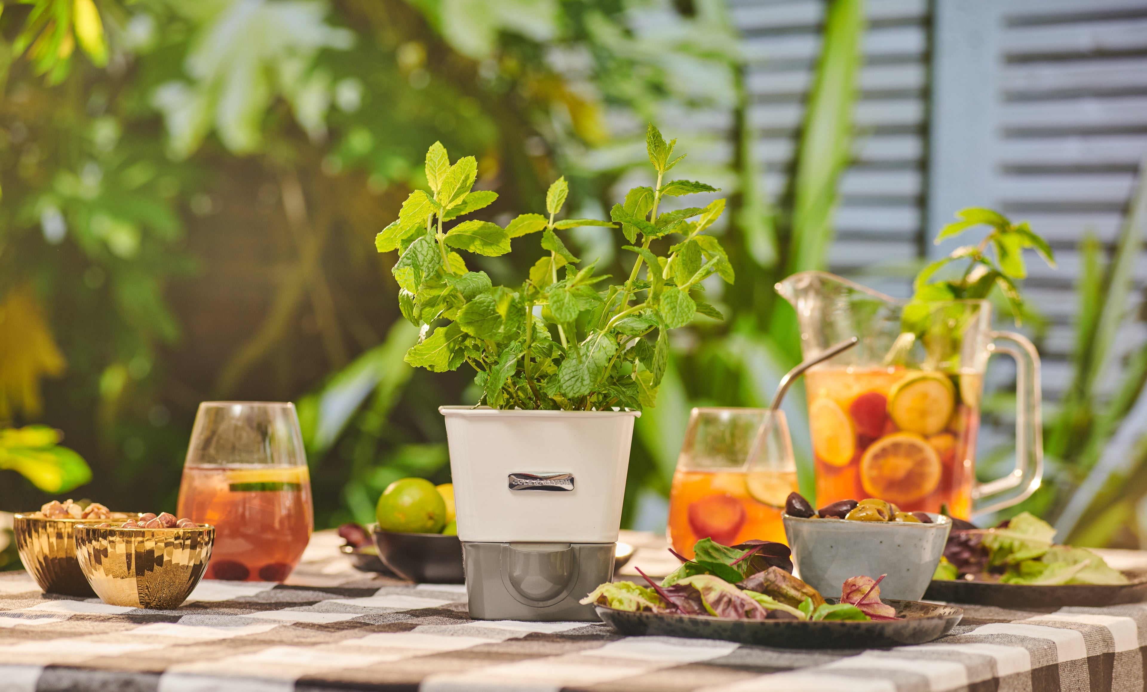 What Are the Best Ways to Use Fresh Mint?