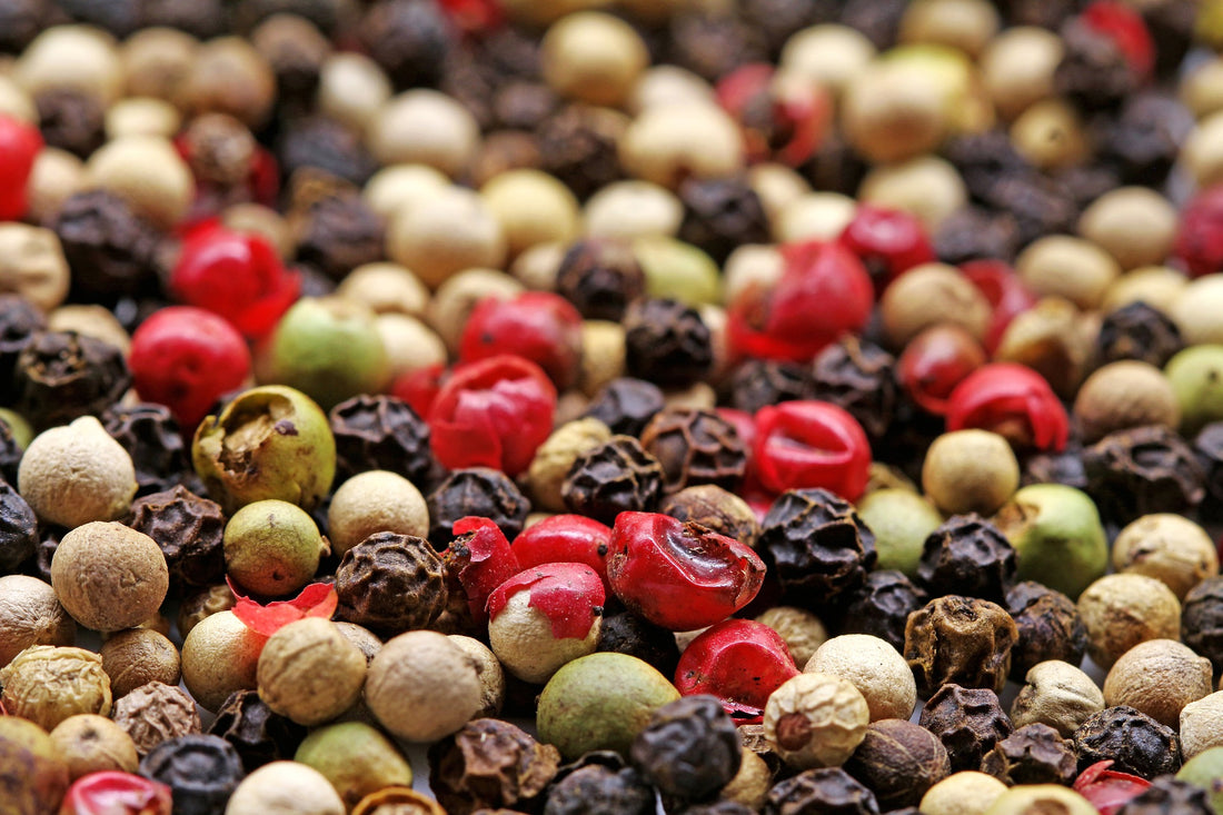 How to grow your own black peppercorn plant Cole & Mason UK