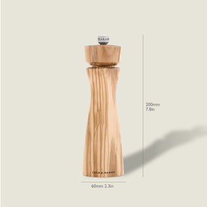 #pepper The Cole & Mason Portobello Olive Wood Salt & Pepper Mill stands upright, measuring 200mm high by 60mm wide, with adjustable grind settings. The brand is printed at its base and it features elegant olive wood construction on a light background.