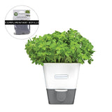 Burwell Self-Watering Potted Herb Keeper Small