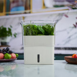 Tealby Freshly Cut Herb Keeper Pot