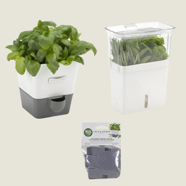Single Herb Keeper & Refills Bundle