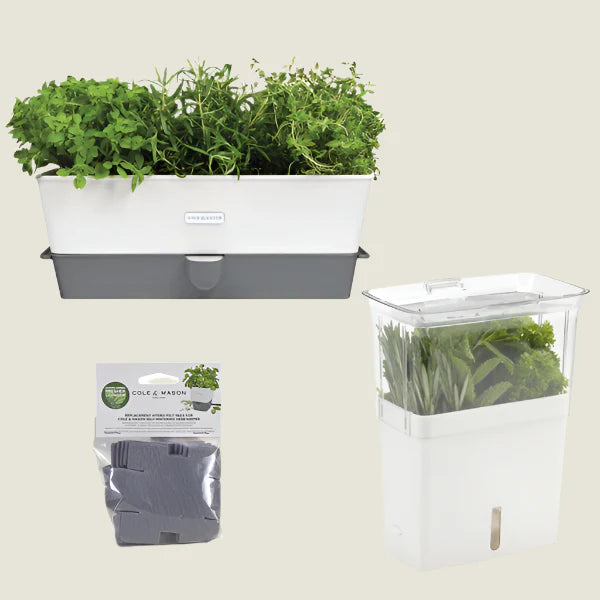 Triple Herb Keeper & Refills Bundle