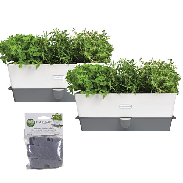Burwell Self Watering Potted Herb Keeper Large x2 & refill pads