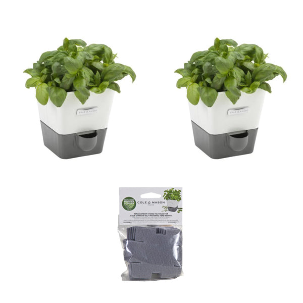 Burwell Self Watering Potted Herb Keeper Small x2 & refill pads