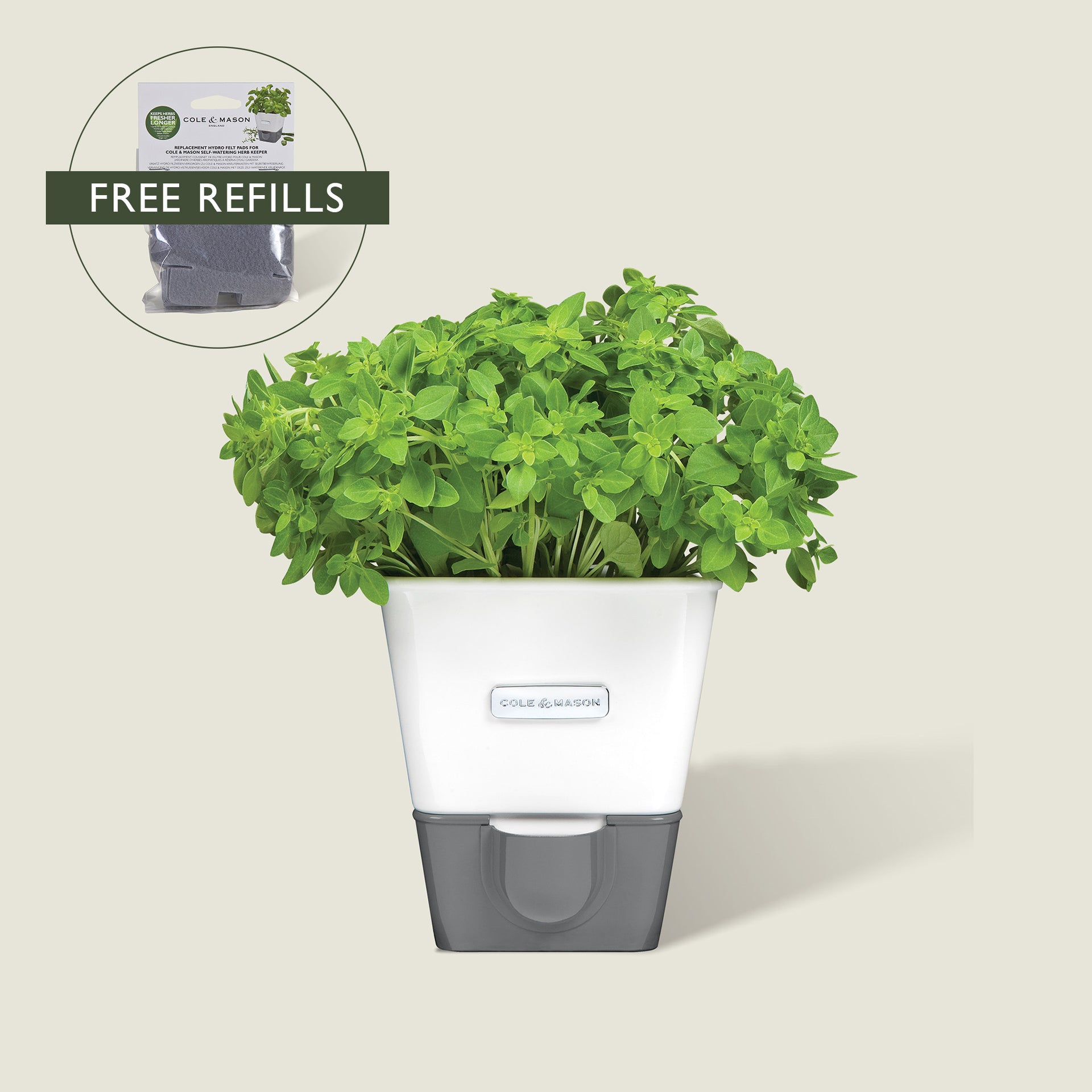 Burwell Self Watering Potted Herb Keeper