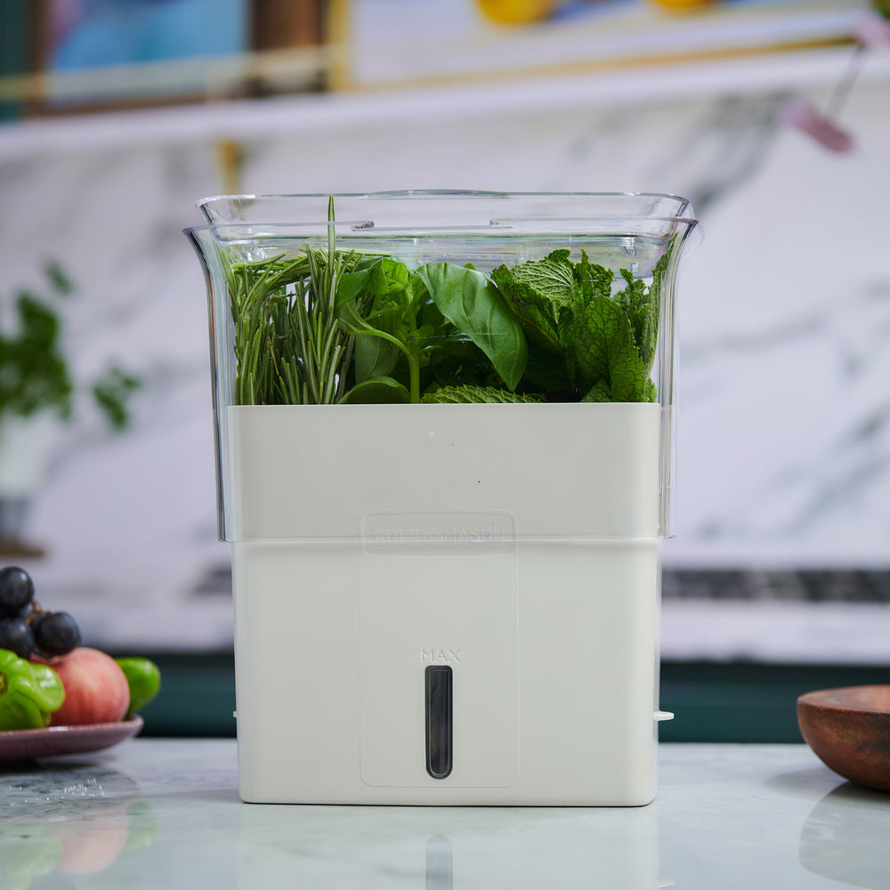 The Cole & Mason UK Burwell Self Watering Potted Herb Keeper Small and Tealby Herb Keeper are transparent rectangular containers with white bases and clear lids, ideal for storing and self-watering herbs using absorbent pads to keep them fresh.
