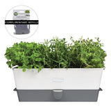 Burwell Self-Watering Potted Herb Keeper Large