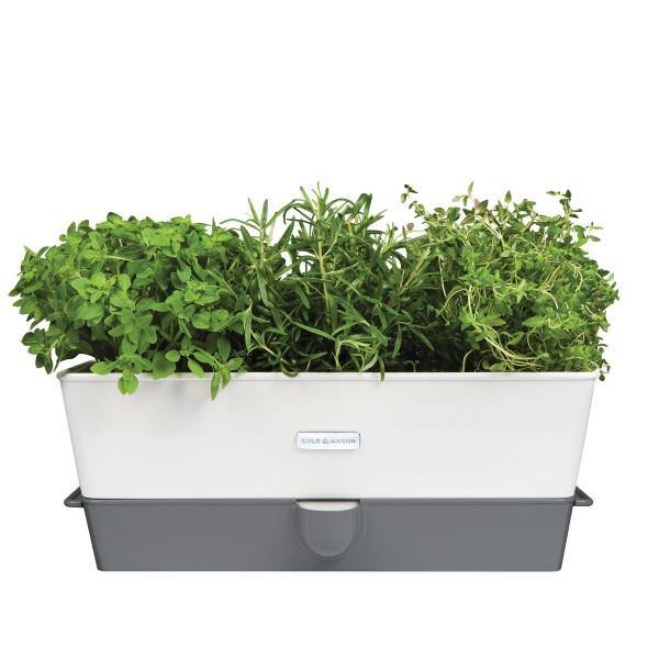 Burwell Self Watering Potted Herb Keeper Large and Tealby Herb Keeper & refill pads